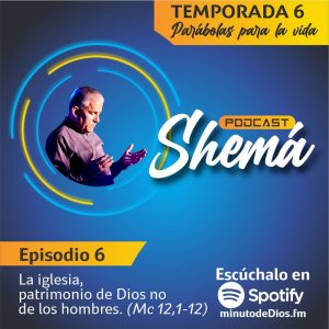 La iglesia, patrimonio de Dios no de los hombres. (Mc 12,1-12)
